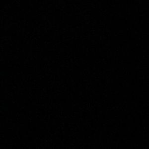 Meet your Posher, Landon